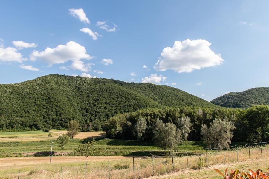 Il Colombaio Agriturismo Montegabbione Экстерьер фото