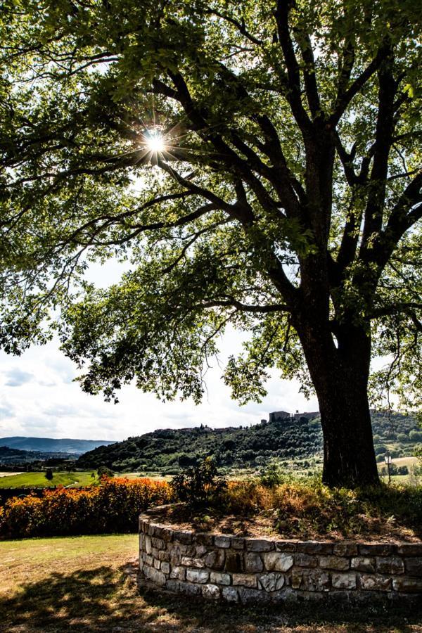 Il Colombaio Agriturismo Montegabbione Экстерьер фото